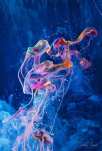 Transcendence - Paint Pouring Abstract Photography Prints Collection - Modern Art Prints